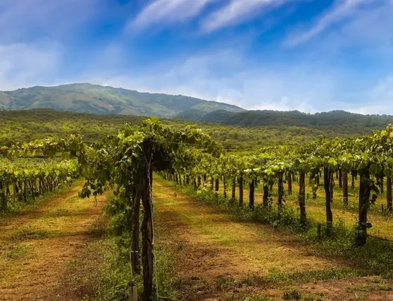 fd842f_108bce2d22764fd7b03de9cc22ec819d~mv2