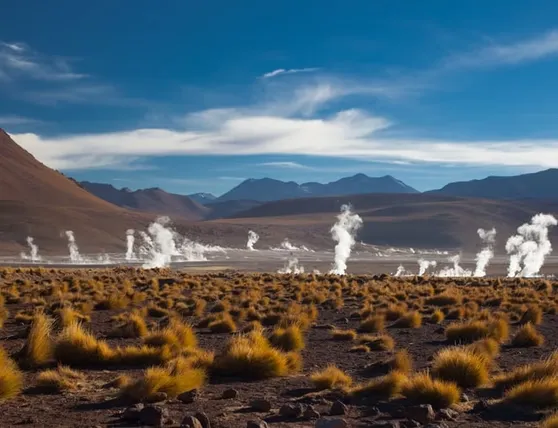 fd842f_16f022cae6e940a8a315c60b67601738~mv2