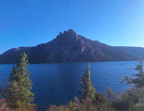 fd842f_19326ed895ad4073967947ae3213f0f8-mv2 (1)