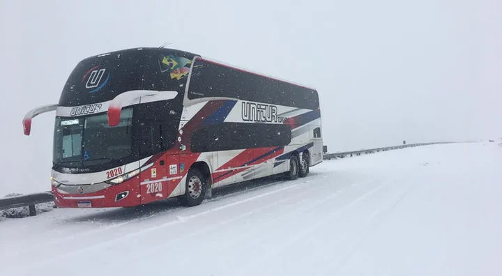 fd842f_2545ce4899104d52a74569a0fba58212-mv2 (1)