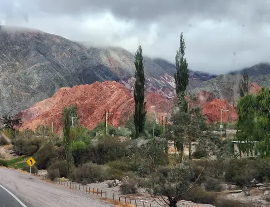 fd842f_657fd7ceeca84fbfa48a5302c4788774~mv2