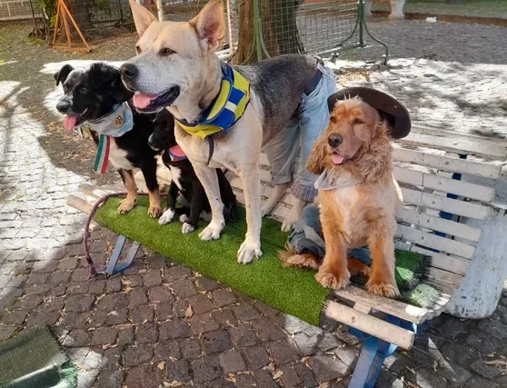 fd842f_77a1e96ed916475baec93f756415721b~mv2