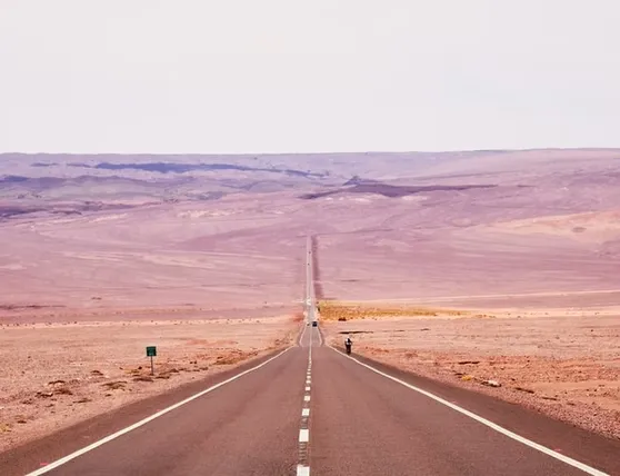 fd842f_8cc1739ea79744469fb64191dbfd016d~mv2