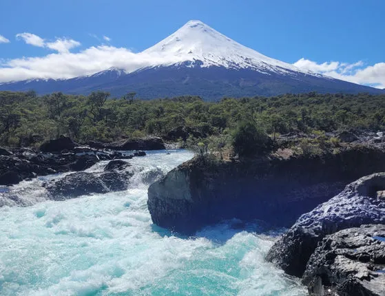 fd842f_9420e52437764620ab4eea968774527a-mv2 (1)