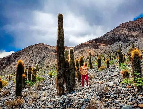 fd842f_bb425ea3a1d14776930e9fc9956f3a56~mv2