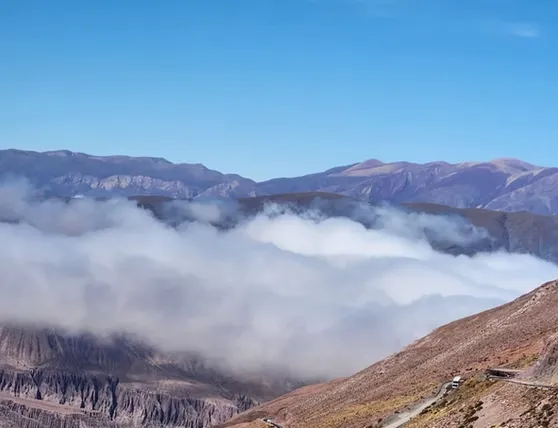 fd842f_c30ecf17d6434246af32cfce4f222f73~mv2