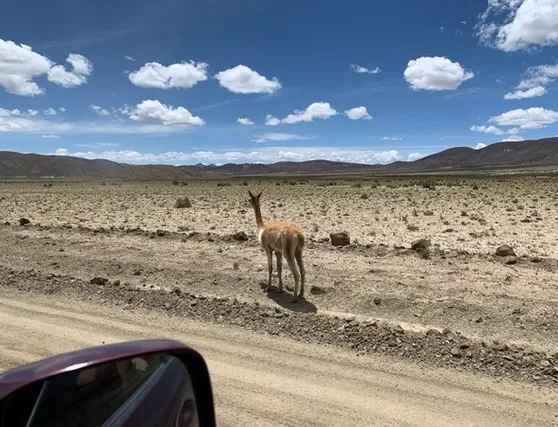 fd842f_cc7f92a6f348448790aa84791a6025f0~mv2