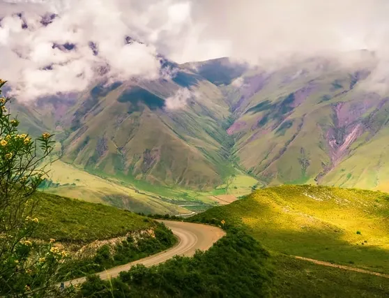 fd842f_d941ad776db844f28982b13c5143814b~mv2