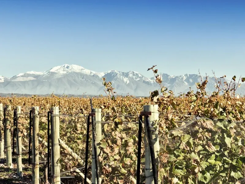 ElosTravel-CircuitoDoVinho5