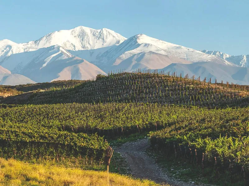 ElosTravel-CircuitoVInho1